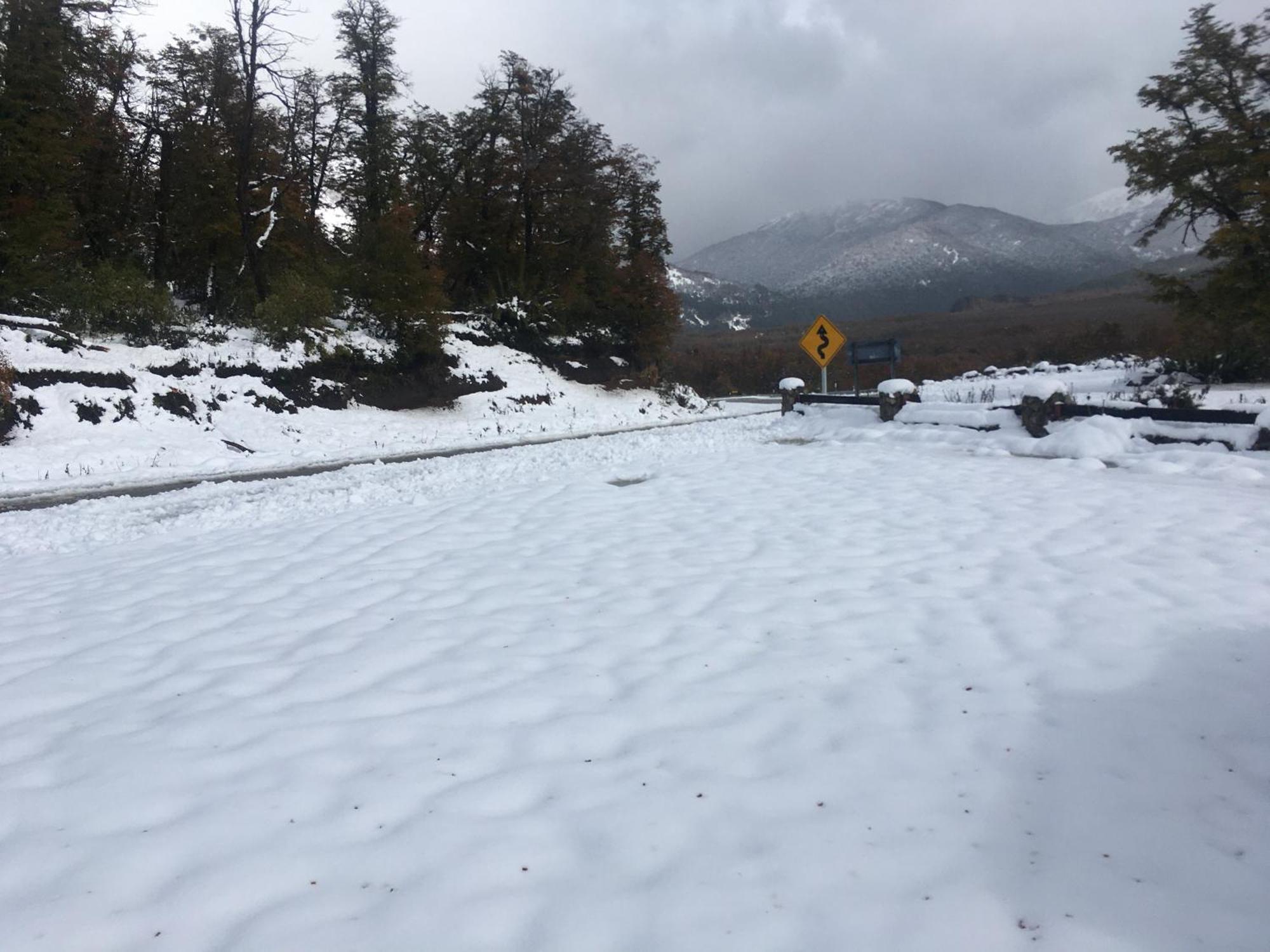 Rahue, Monoambiente Centrico Con Patio Propio Lägenhet San Martín de los Andes Exteriör bild